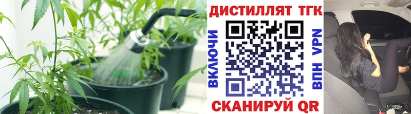 ТГК THC oil  Кочубеевское 
